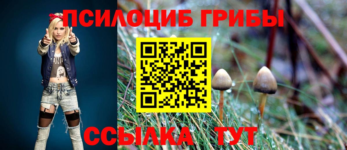 Воронеж  Галлюциногенные грибы мухоморы  Вход с VPN 