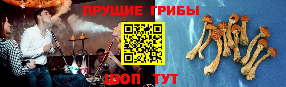 Галлюциногенные грибы Cubensis Воронеж